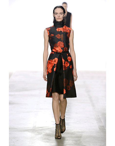 giambattista-valli-fall-winter-13-14-look-22