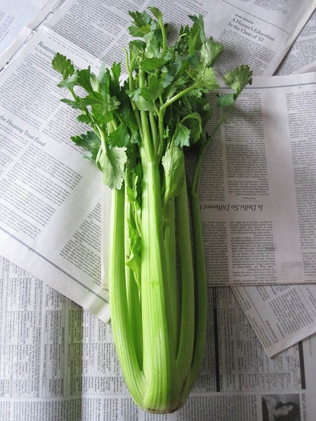 celery