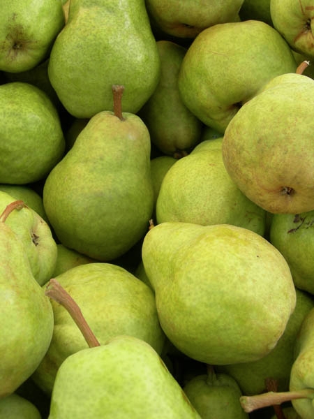 organic_bartlett_pears