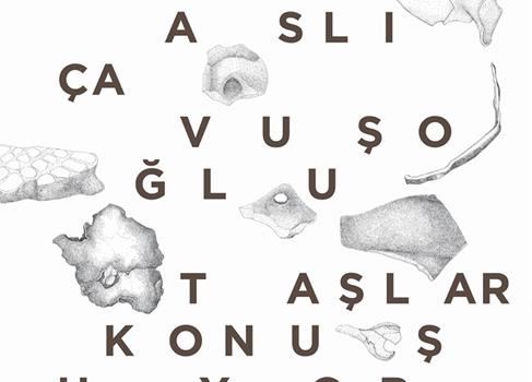 13102013203449744238509