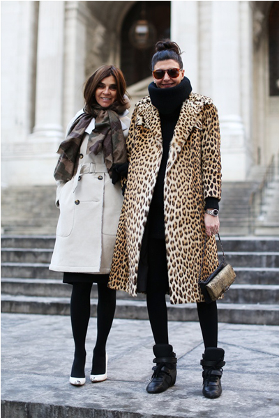 all-the-pretty-birds