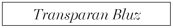 transparan