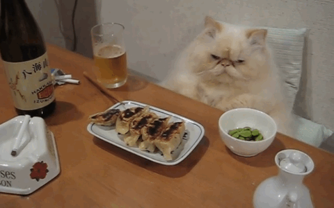 tumblr_msgx9myW3i1sh4h4po1_500 (1)