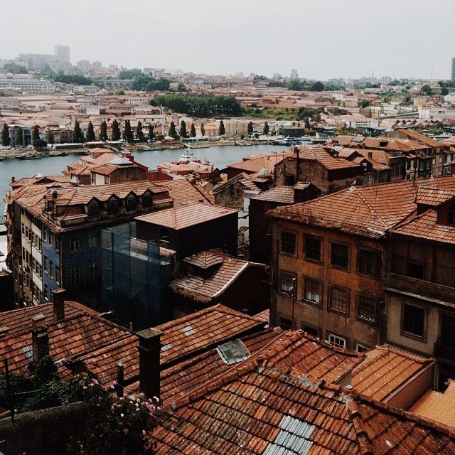 925161_718061808225009_114120843_n