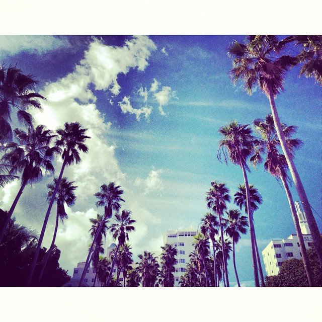 10881965_484626861676532_394867508_n