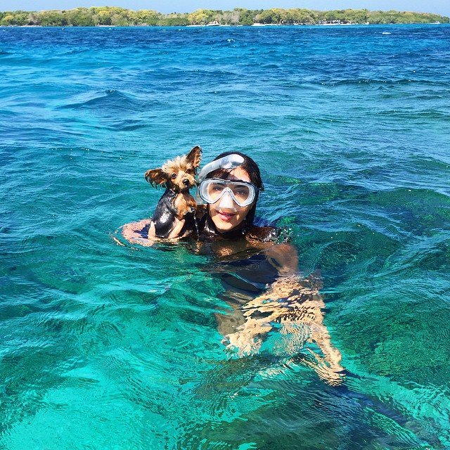 10891104_322781931260162_730183785_n