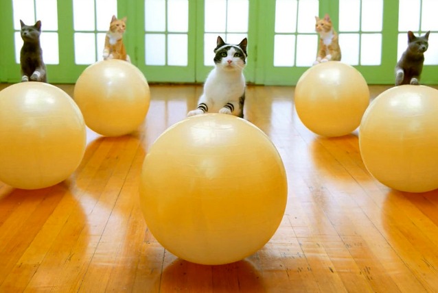 egzersiz yapmayı sevdirecek yollar