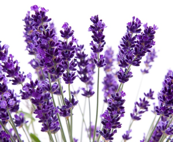 erkeklerin sevdiği konular 4