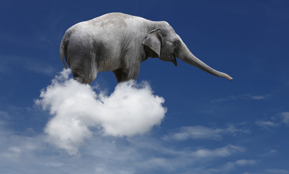 shutterstock_86392357_ELEPHANT-Medium-e1342806185335