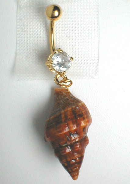 0a5e1f40ca13f5f669256016398d521b