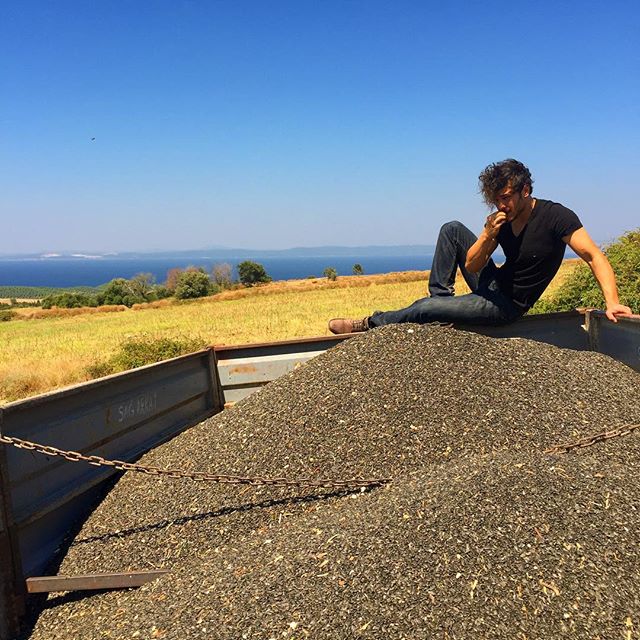 11351839_777249722386014_568129482_n