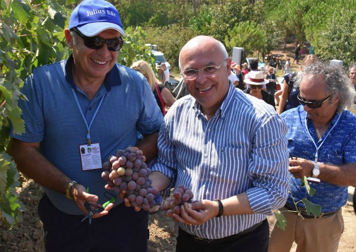 süleymanpaşa belediyesi