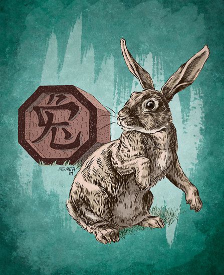 ÇİN ASTROLOJİSİ 2016 BURÇ YORUMU