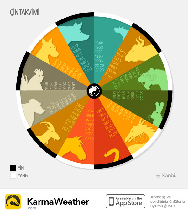 ÇİN ASTROLOJİSİ 2016 BURÇ YORUMU