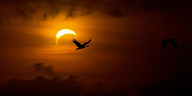 9 mart güneş tutulması