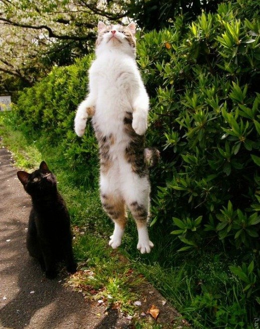 BEDENİNİZLE BARIŞMAK İÇİN İHTİYACINIZ OLAN 4 ADIM d