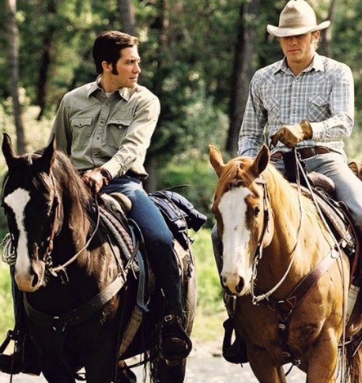 GEY JARGONU HAKKINDA BİLMENİZ GEREKENLER cxx