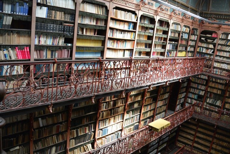 Handelingenkamer Kütüphanesi, Hollanda