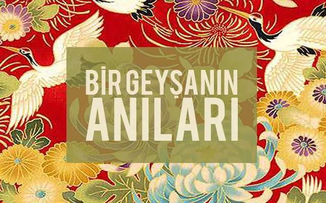 BİR GEYŞANIN ANILARI