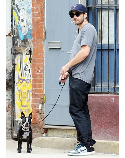 1373552552_jake-gyllenhaal-560