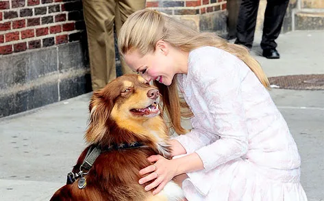 FINN SEYFRIED’LE TANIŞIN