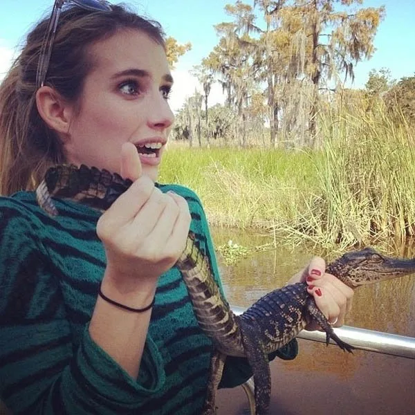 starsshineonsocialnetworks1gnyuu-5z9pl