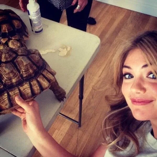 starsshineonsocialnetworks6fvcjioy3u_l