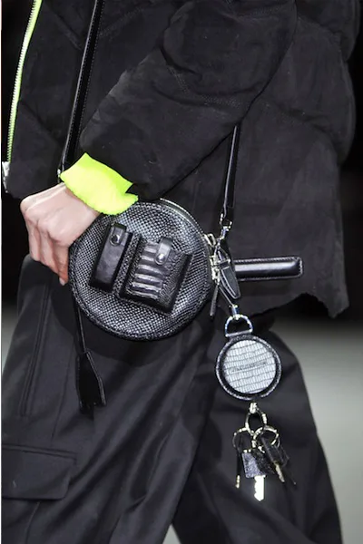 alexander-wang-bag
