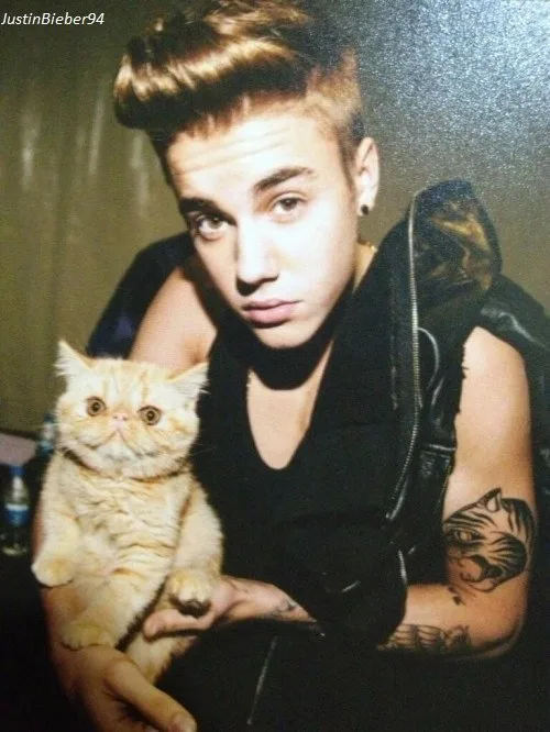 enhanced-buzz-5909-1402363991-4