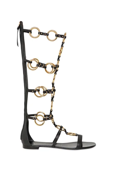 zanotti