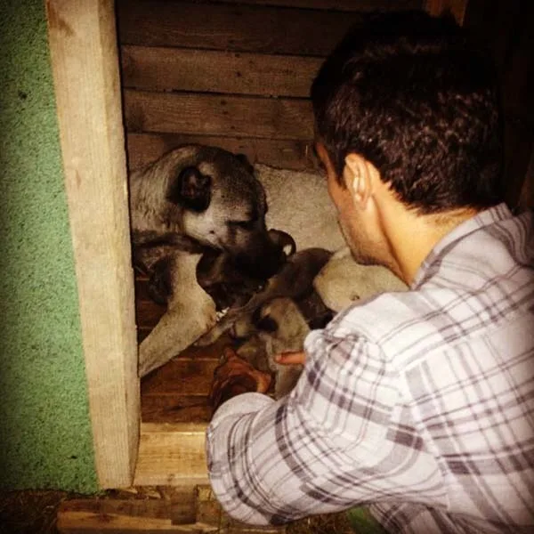 10593521_278492355674268_1616160064_n