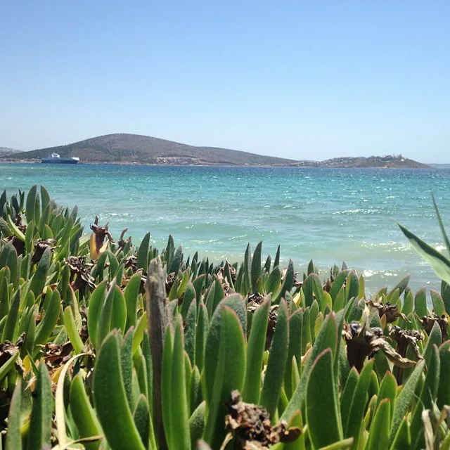 10513999_723487471042562_2141060794_n