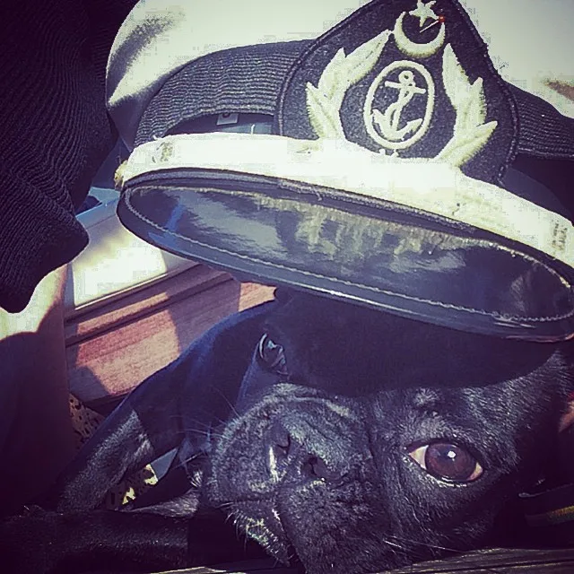 10665932_1478221295773394_1120532244_n