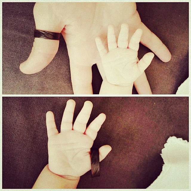 10598641_1486394104944253_1726483323_n