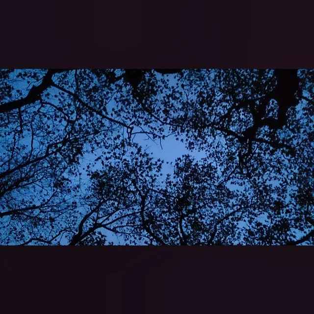 926226_732338090181266_983399168_n