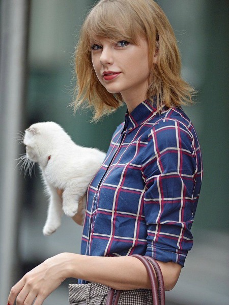 YILDIZLARIN KEDİLERİ