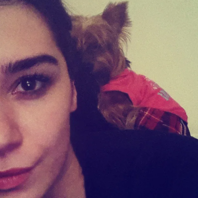 10732021_1509297372666897_865189115_n