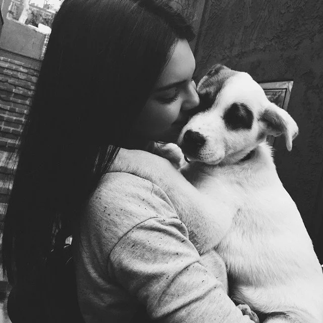 10895191_959312157442700_275131268_n