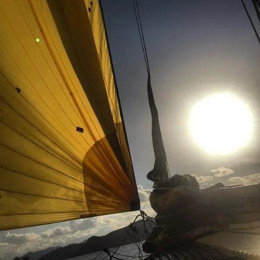 10914277_751552928248411_107404829_n