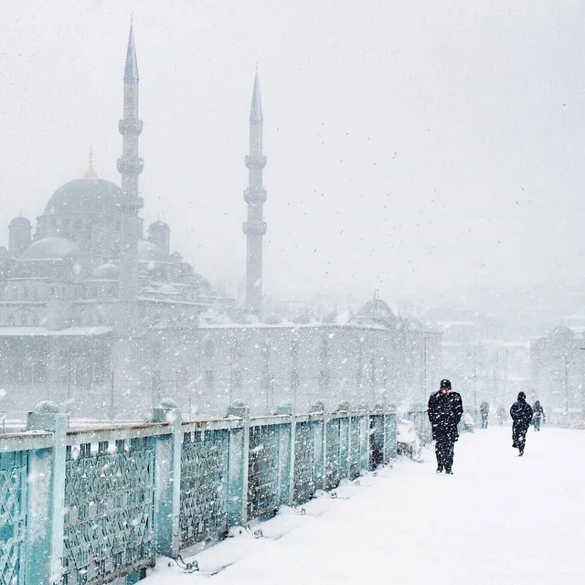 10914342_1590602224497063_1534242855_n