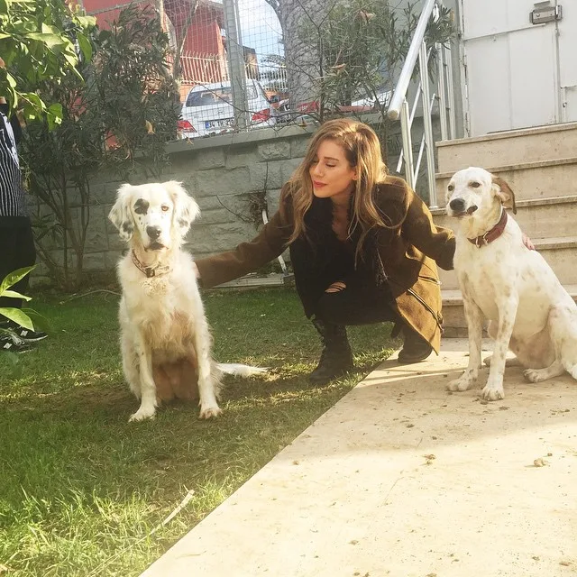 10919121_1561651560747573_1484974127_n