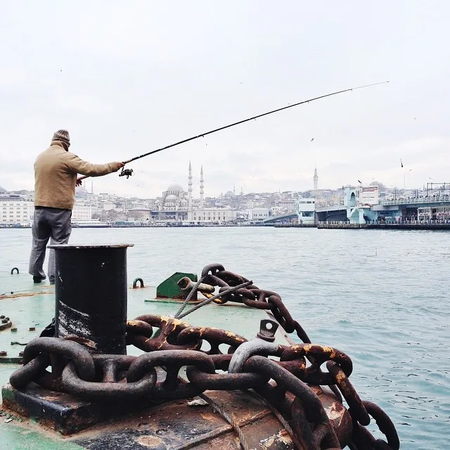 10919256_876458592398603_1525766708_n