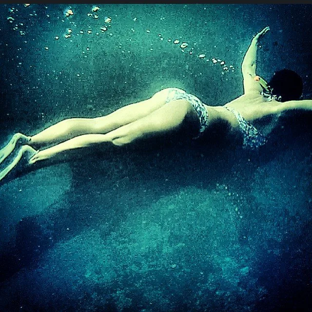 10919313_1521411504787439_1290062731_n