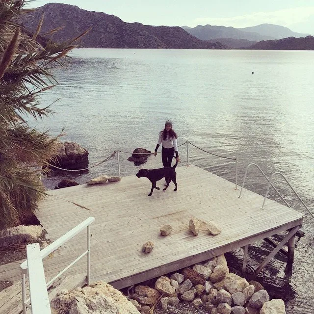 1740114_965862210109676_1248054058_n