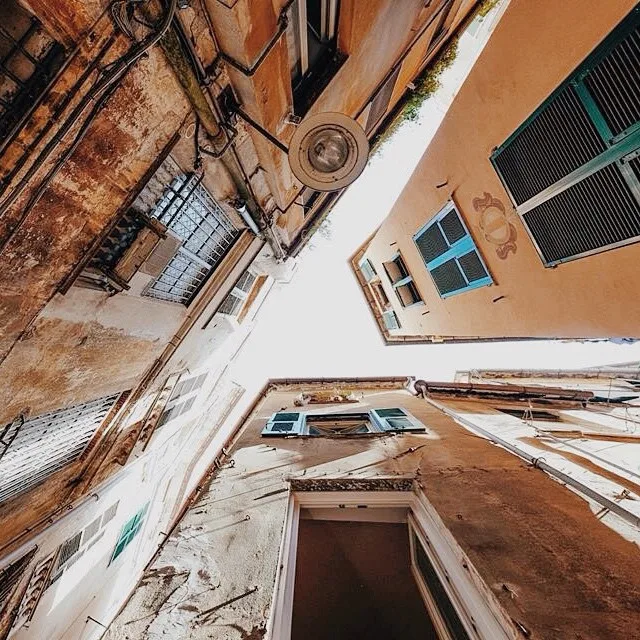 10748170_973811785967602_869627747_n