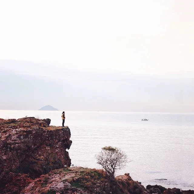 10808596_1495251564084064_370025090_n