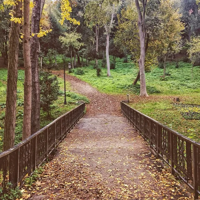 10838834_840594315983297_1463374143_n