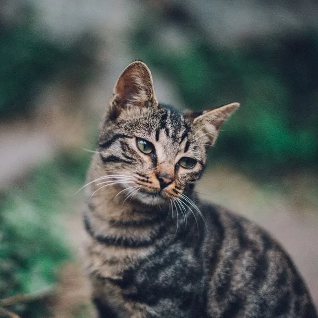 914449_740365156044714_1078967402_n