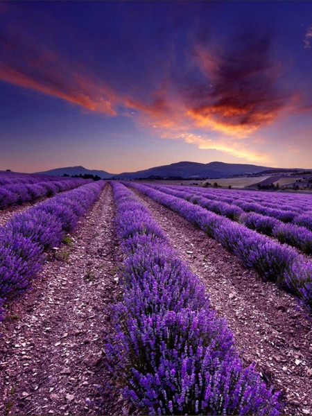 MUTLAKA GÖRMENİZ GEREKEN 10 YER