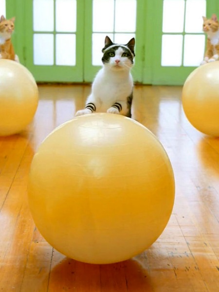 EGZERSİZ YAPMAYI SEVDİRECEK 5 YOL